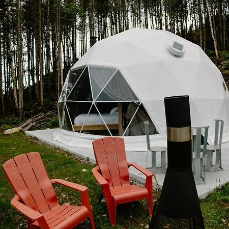 Les Diamants De L'Eternel Apartment Saint-David-de-Falardeau Exterior foto
