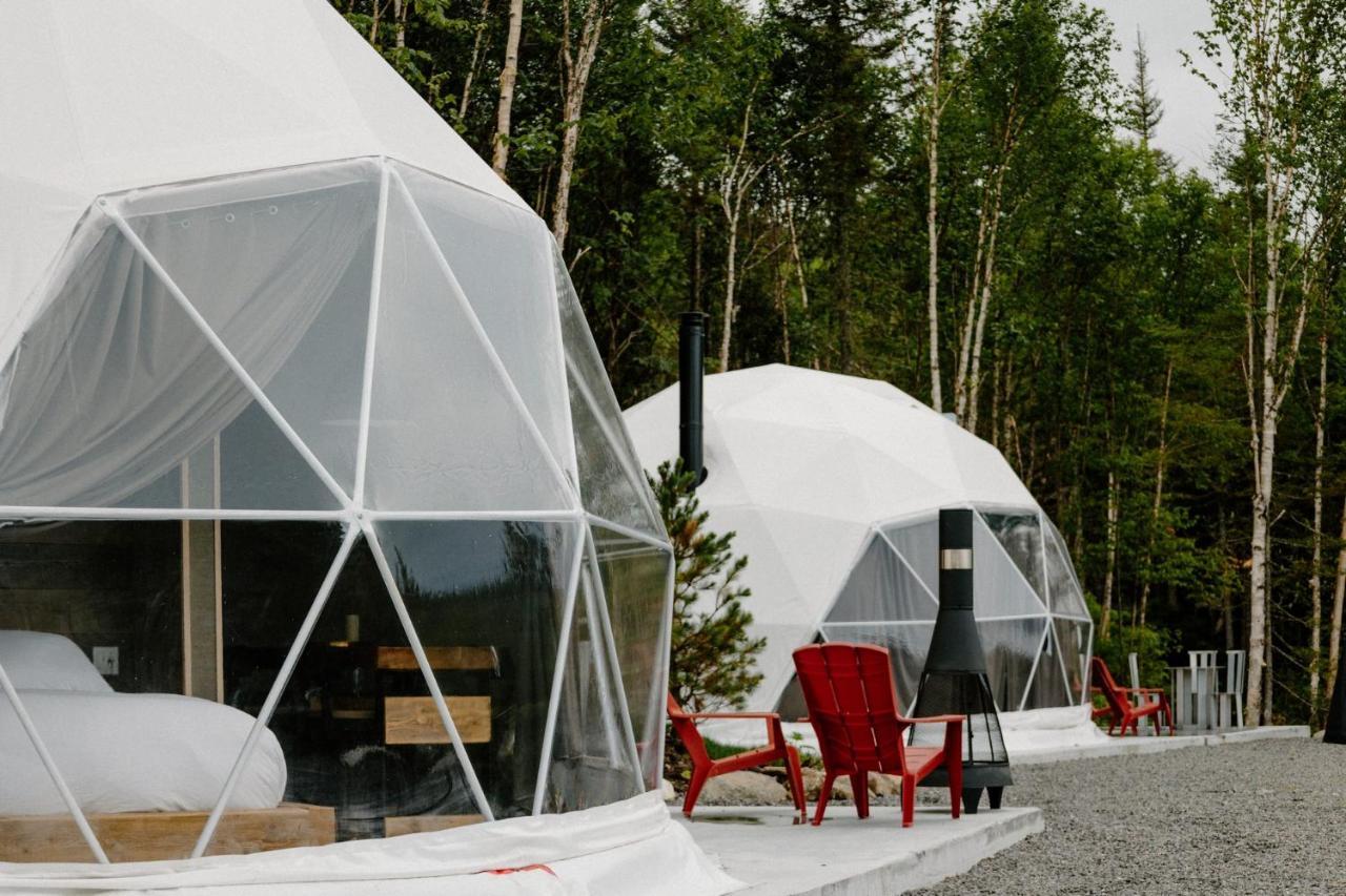 Les Diamants De L'Eternel Apartment Saint-David-de-Falardeau Exterior foto